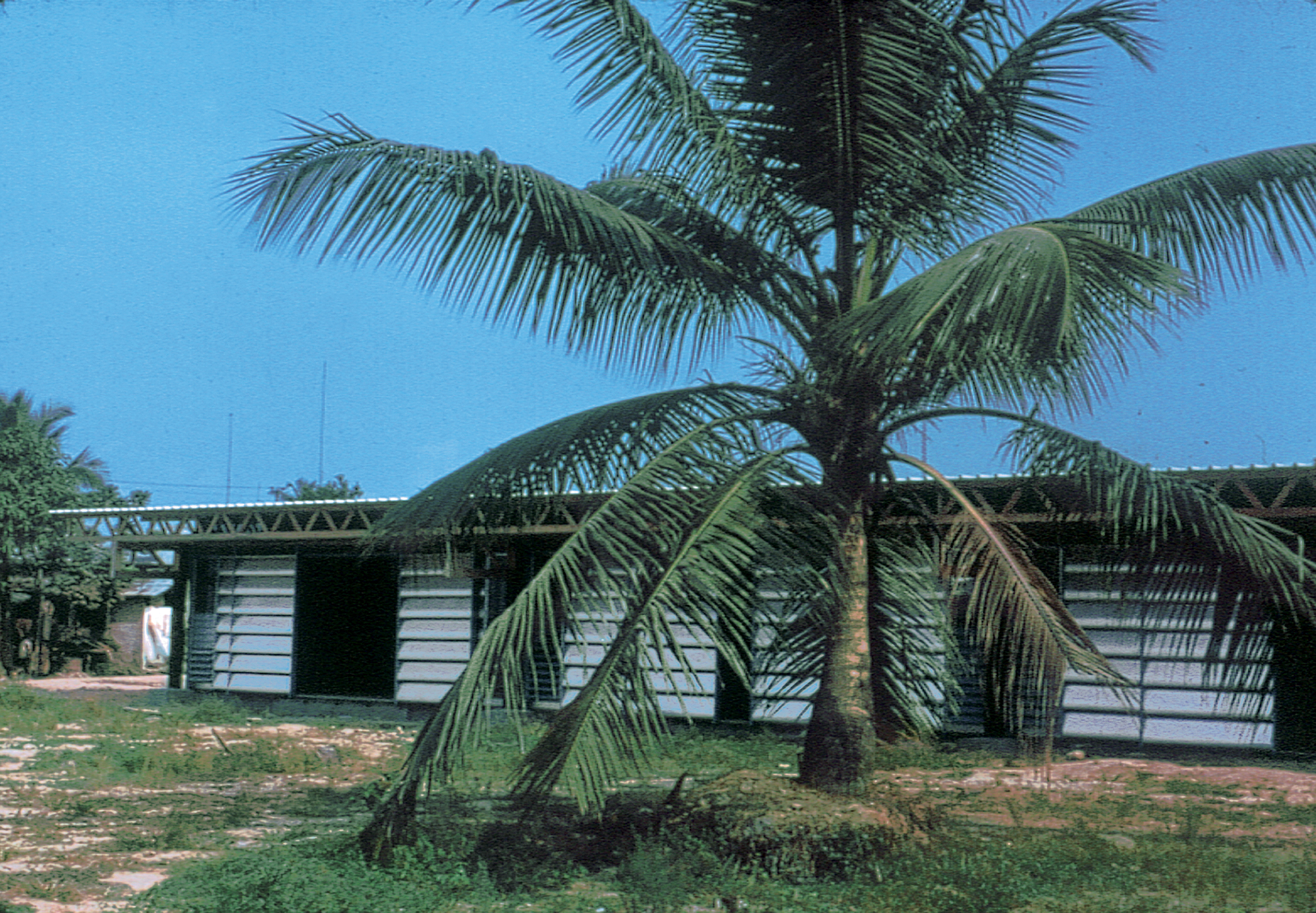 Écoles industrialisées du Cameroun et logements de fonction (Atelier LWD Lagneau, Weill, Dimitrijevic, arch. 1964). Façades brise-soleil conçues par Jean Prouvé.